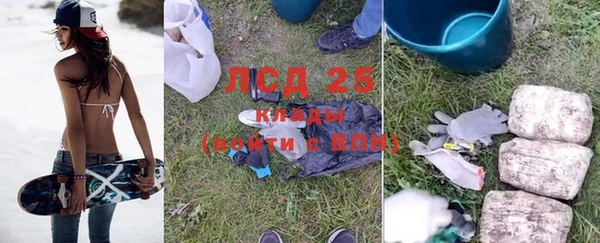 прущие крисы Аркадак